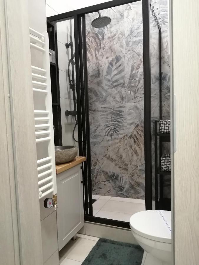 Hanna Apartman سيغيد المظهر الخارجي الصورة